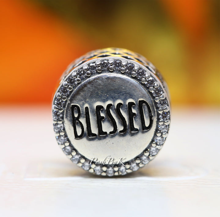 Blessed Clear CZ Charm ENG792016CZ_3